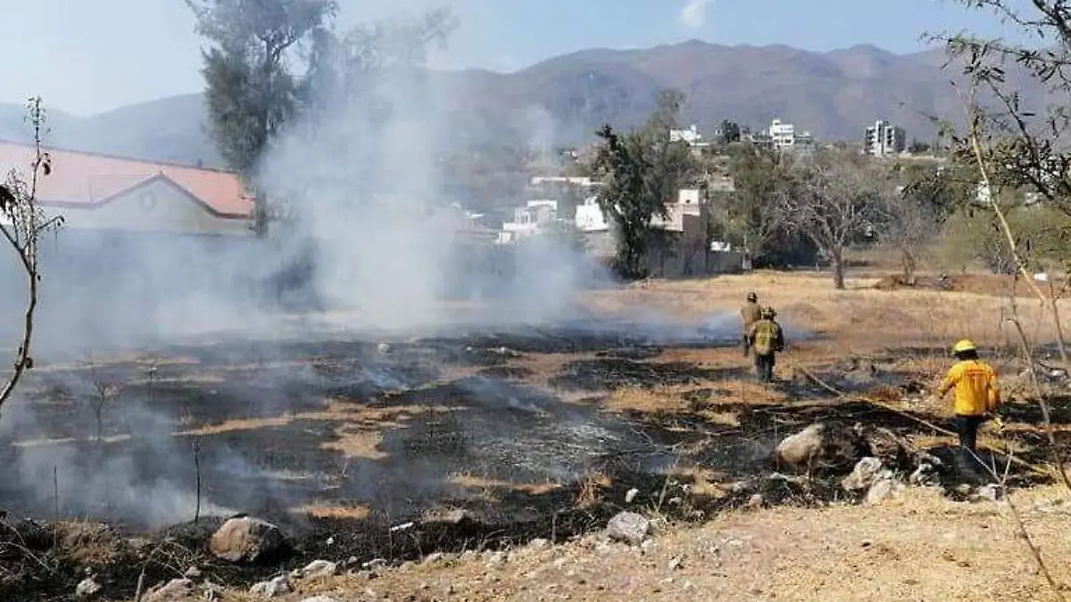 Incendio pastizal guerrero chilpancingo